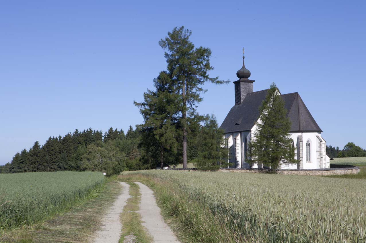 ob Rauchenödt
